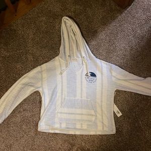 Lake Michigan v neck hoodie